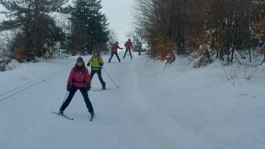 Premières leçons de skating Premières leçons de skating