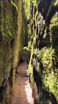 les canoles les canoles