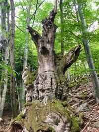 Un passage dans le Gouffre de Helm! Un passage dans le Gouffre de Helm!